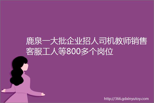 鹿泉一大批企业招人司机教师销售客服工人等800多个岗位