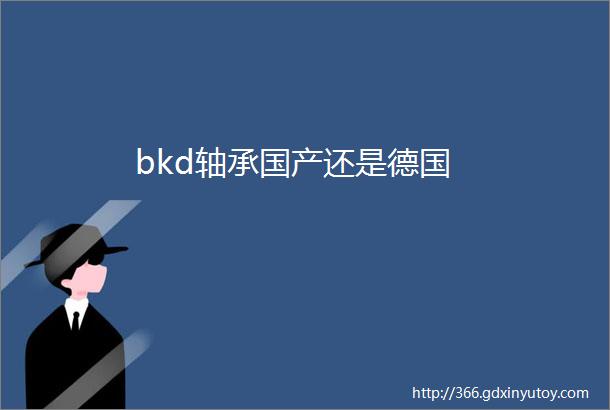 bkd轴承国产还是德国