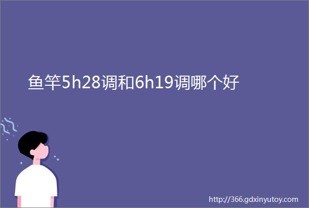 鱼竿5h28调和6h19调哪个好