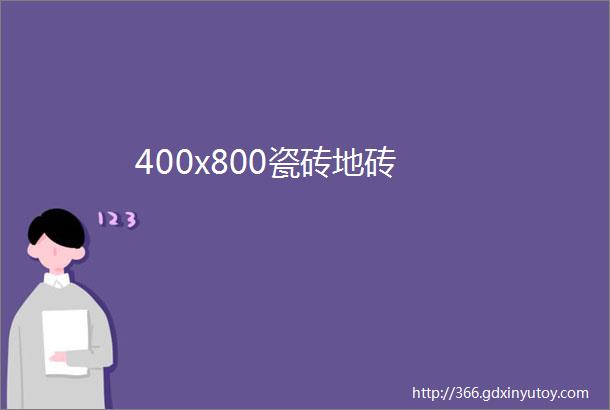 400x800瓷砖地砖